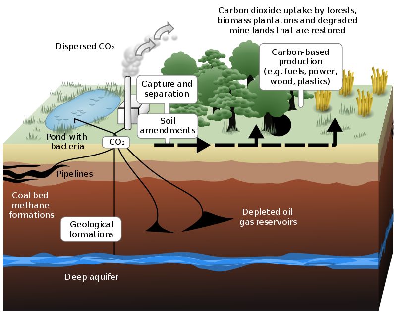 Carbon sequestration